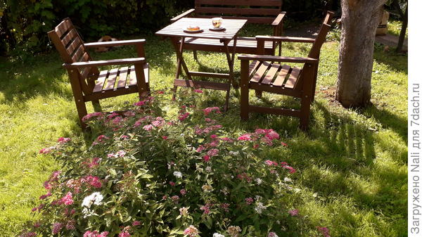 Завтрак с Широбаной)