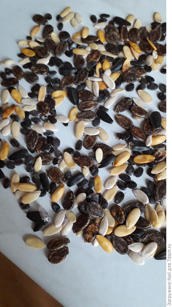 Ассорти для птиц.