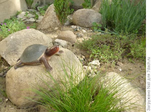 черепашка из пластика