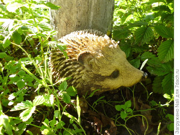 керамический ёжик