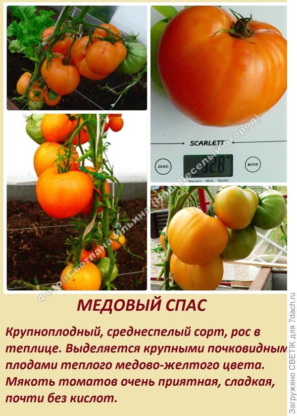 Медовый спас