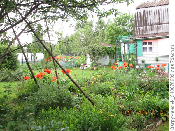 Беседка.