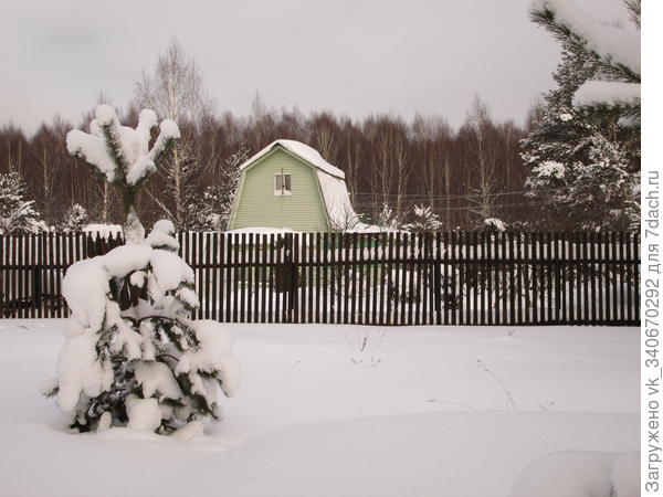 зима
