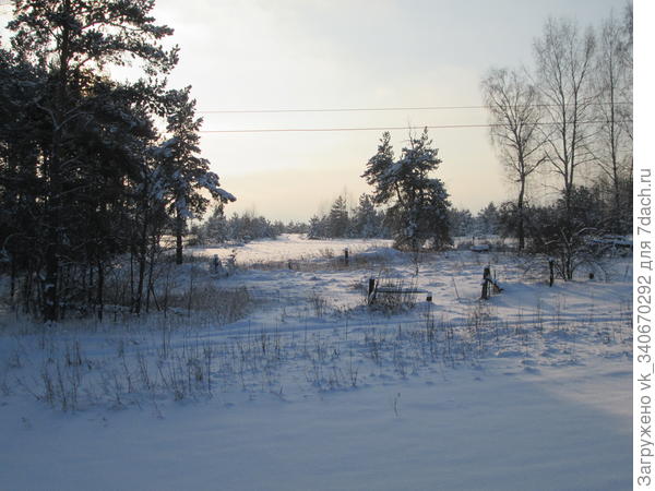 зима