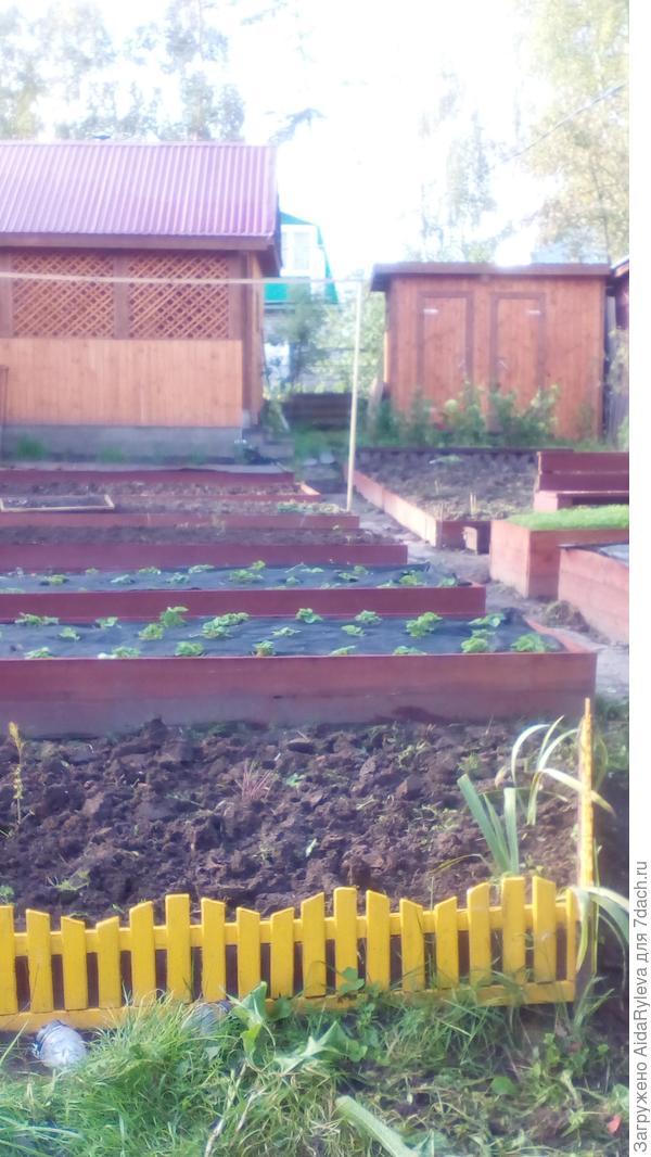 Вот так в зиму ушло.