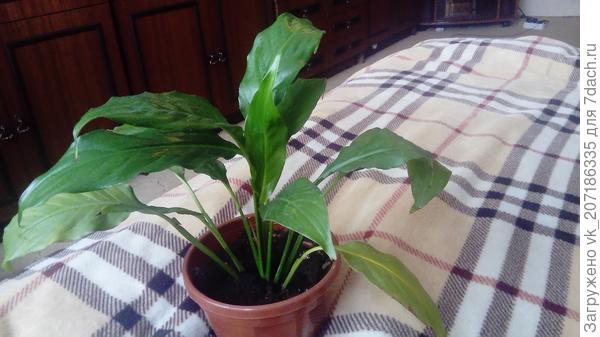 Подскажите название