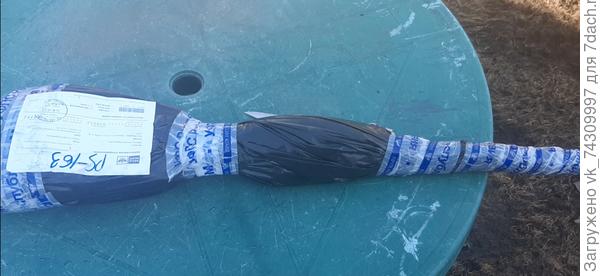 Упакованы саженцы хорошо.