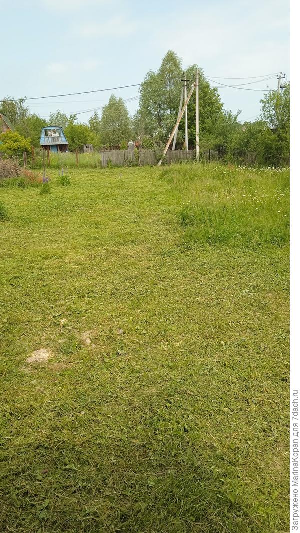 Сам участок, фото из бытовки.