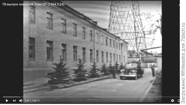 Посадили маленькие и симпатичные