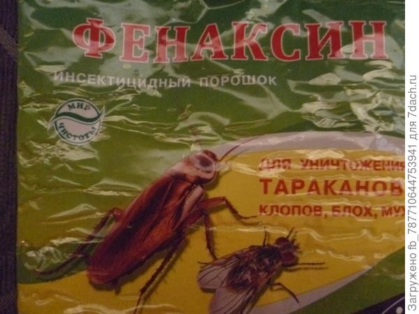 вот отличное средство от садовых муравьёв