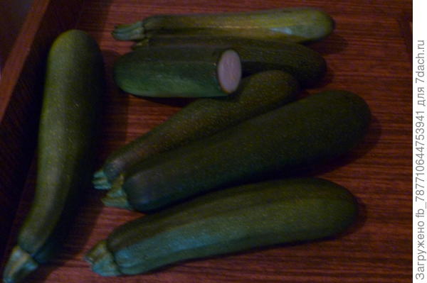 Кабачки &amp;quot;Чёрный красавец&amp;quot;