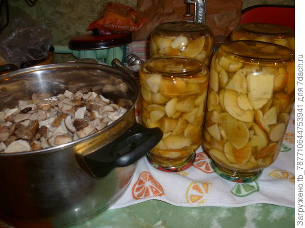 Маринованные белые