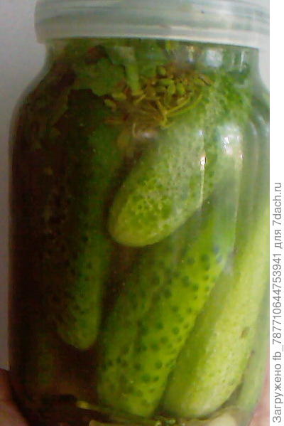 Отличные огурчики получаются.