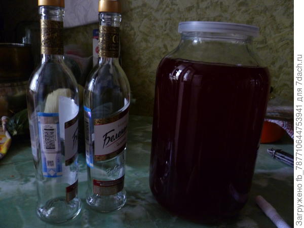 А теперь в антрессоль на пару месяцев.