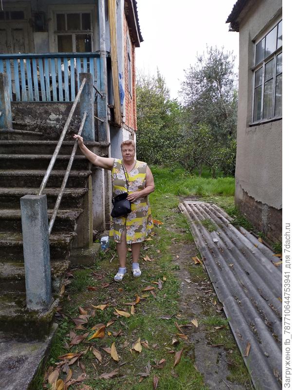 Два домика старых в очень старом  саду.