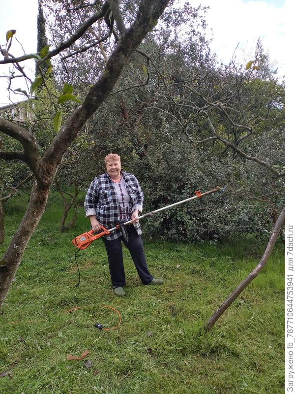 А мы с сестрой и  траву косили и два раза опрыскивали деревья от тли и все лето я с муравьями воевала.Фенаксин и там купила,отличное ср-во,сыпала чуть на стволы и нет мурашей