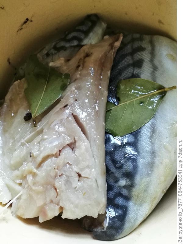 Обрати внимание на цвет скумбрии-свежайшая,я и солила и в фольге запекала,вкусноты необыкновенной рыбка,вообще рыбку разную брала,недаром 10кг сбросила