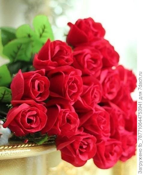 мои поздавления вам