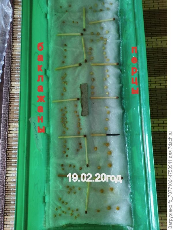 удобная вещь очень,очень