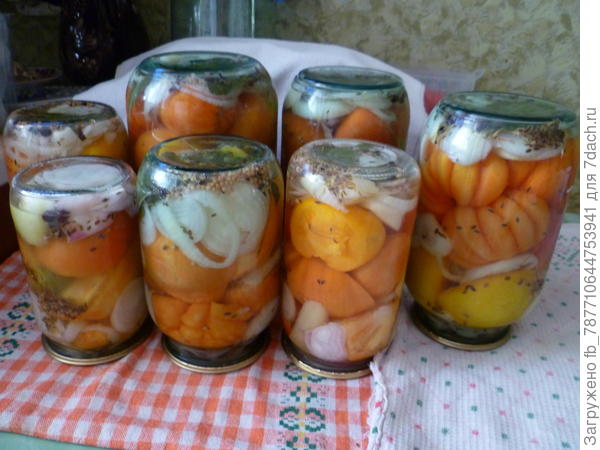 С чем и как можно мариновать помидоры? ответы экспертов () С чем и как можно мариновать помидоры? ответы экспертов