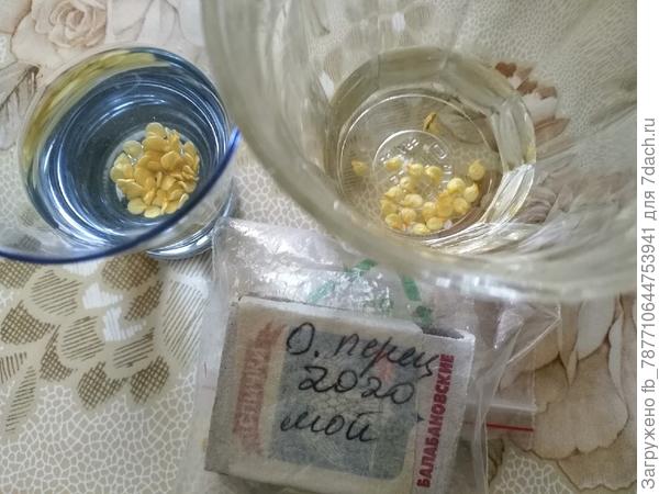 1ч.л.меда на стакан воды-в стимуляторе этом 5часов