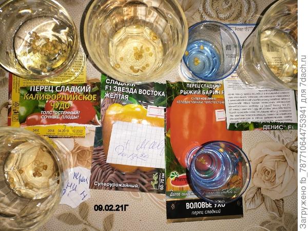 перец болгарский в мед.р-ре 5 часов.