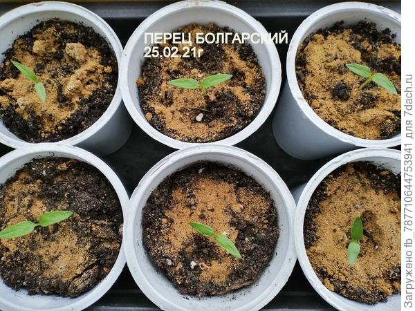 и вот такой уже