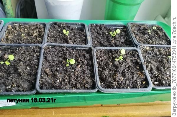 Вот такая сейчас.