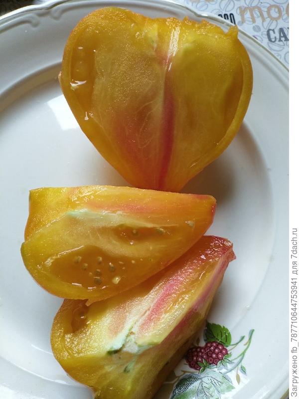 Сокровища Инков. Сумасшедший вкус