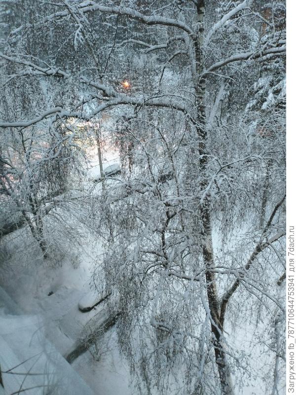 А за окошком у меня сегодня такая вот красота