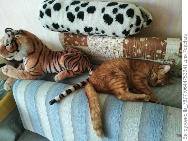 на ПАру с другом