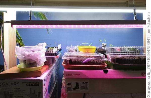 пока вот так.