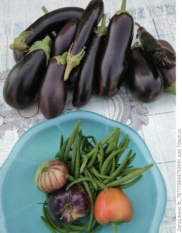 А вот первые(22 год)