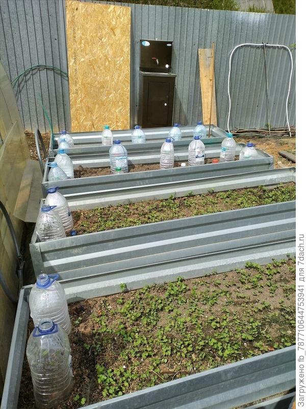 А с краю слева под банками Огурцы