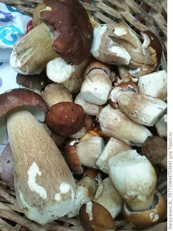 уже дно прикрыто