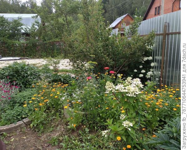 уголок веселый