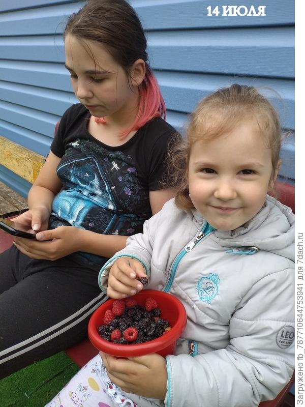 ягодки кушают внучки