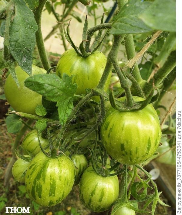 циферка пропала, маркер выцвел.