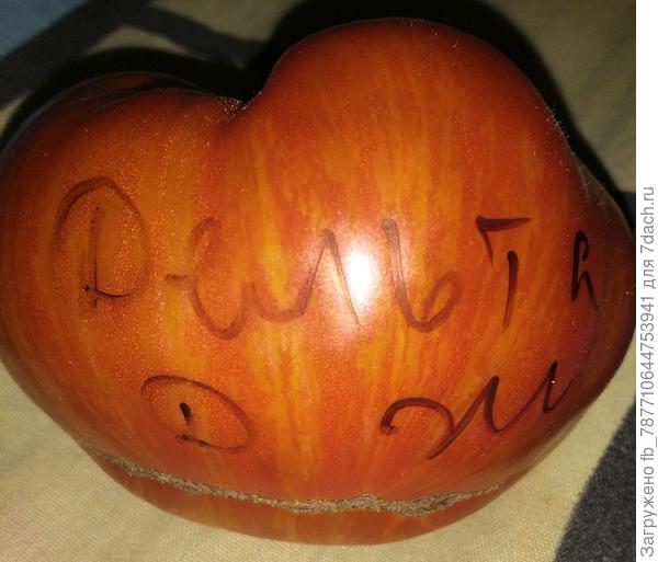 И гном Дельта Дивер Жёлтый