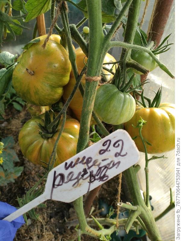 Индейская резервация