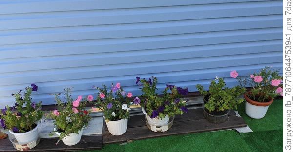 и это в конце сентября