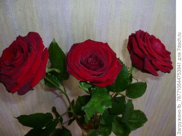 И для настроения букетик