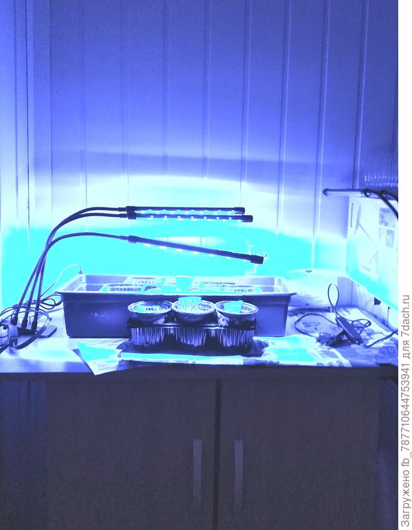 Всех на лоджию, закаляйтесь