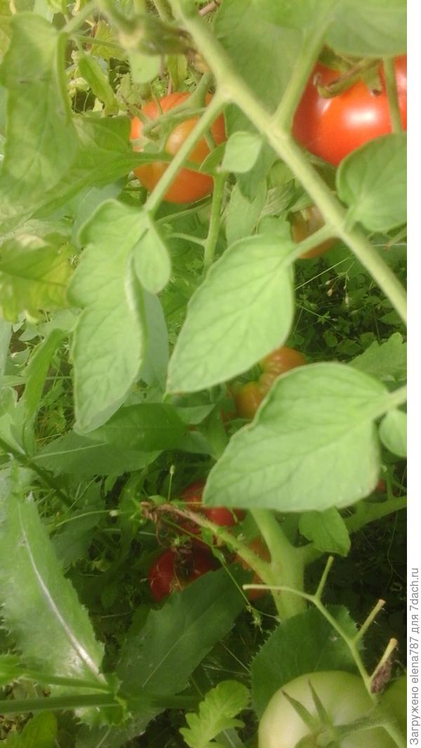 Со второй стороны.