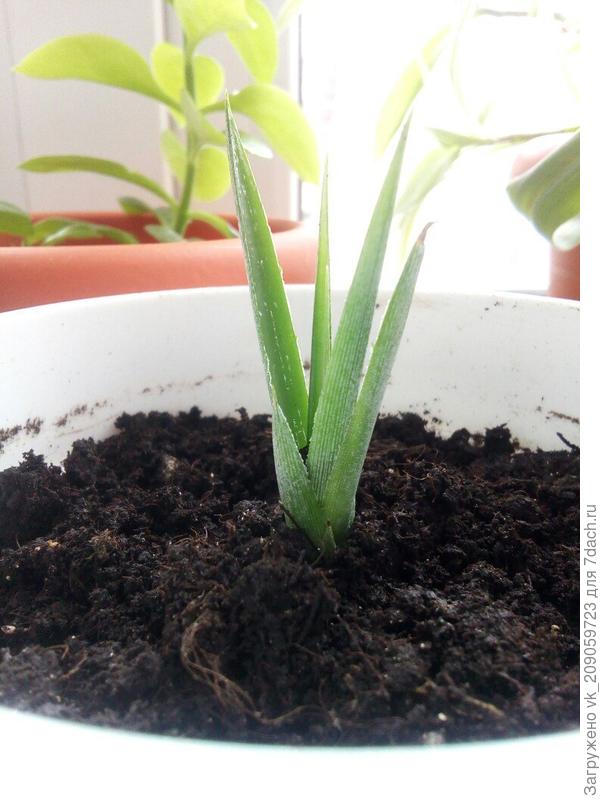 Подскажите название!?