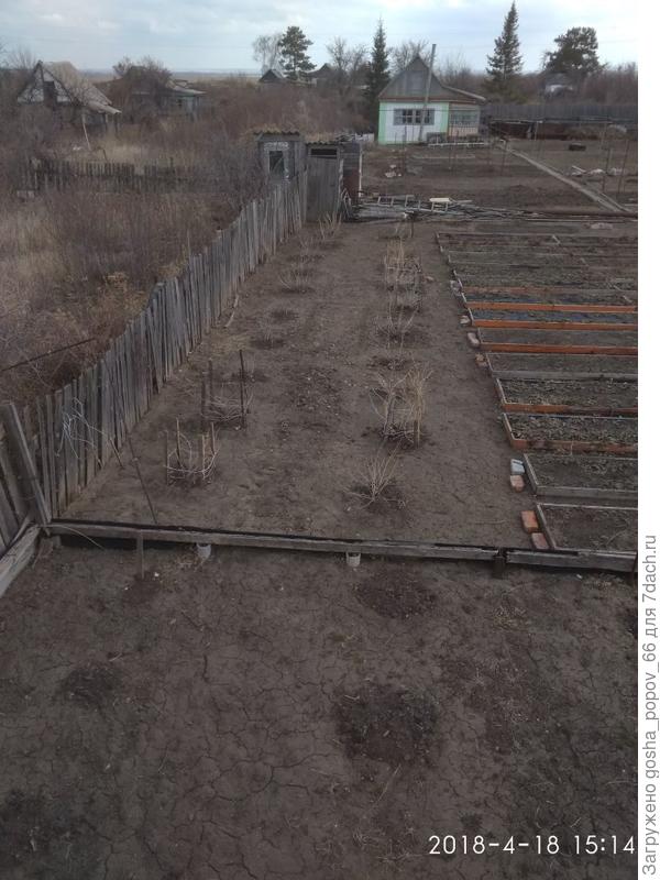 Слева заброшенный участок.