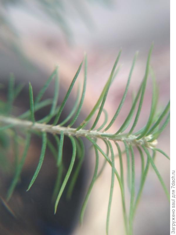 ещё вариант