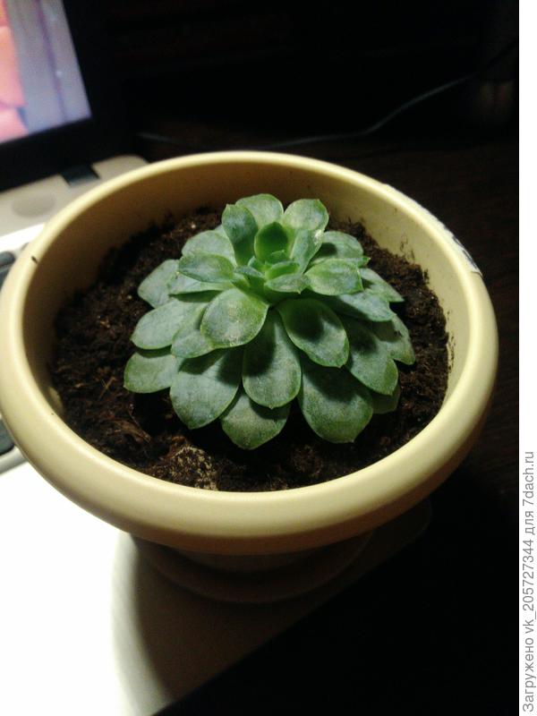 Подскажите название