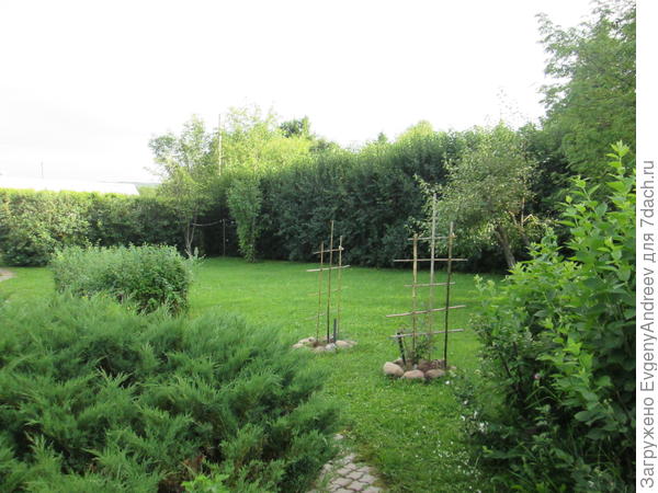 Вид на лужайку.