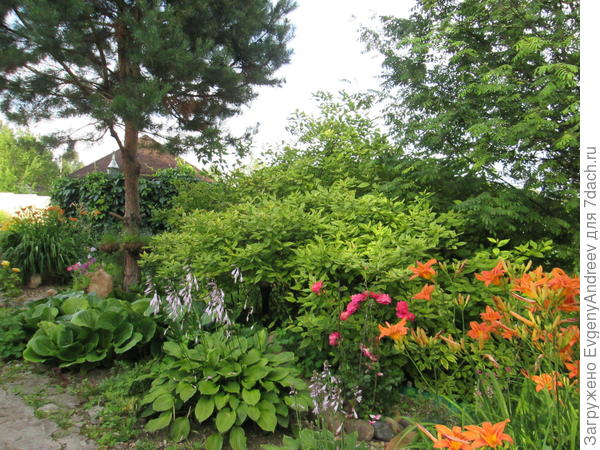 Один из цветников перед  домом.